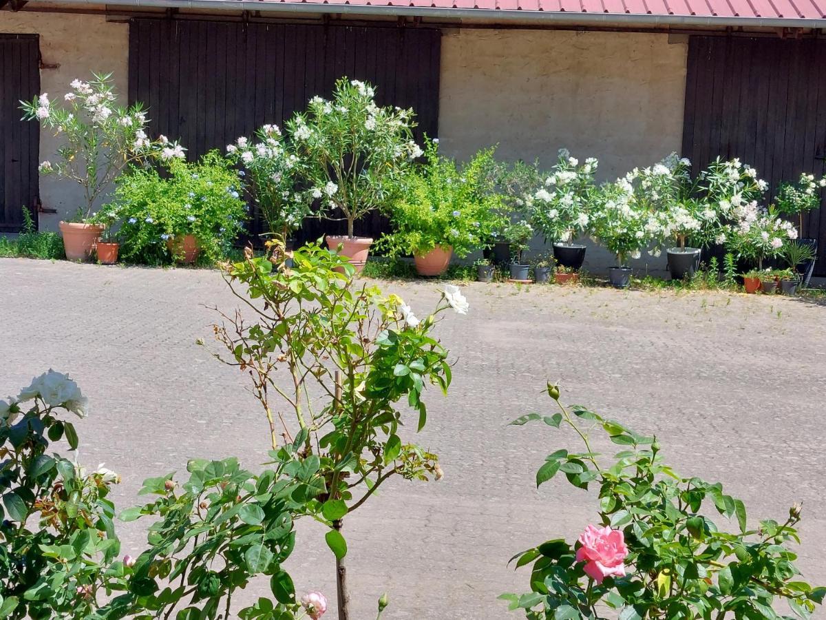 Apartmán Landpartie Freckenfeld Exteriér fotografie